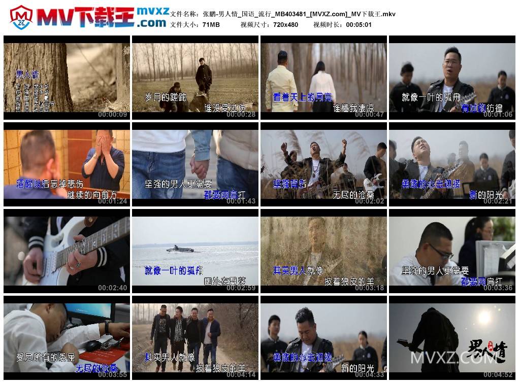 张鹏-男人情_国语_流行_MB403481